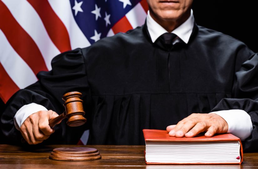 Intellectual property protection strategies - Patent and trademark law